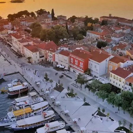 Modern Tia I With Outdoor Pool In Porec