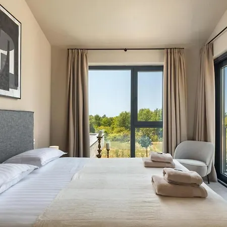 Modern Tia I With Outdoor Pool In Porec Villa