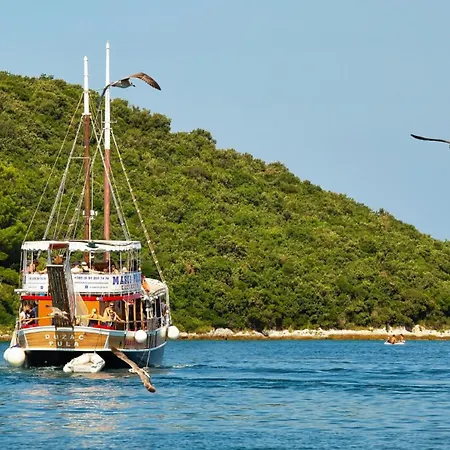 Villa Modern Tia I With Outdoor Pool In Porec *